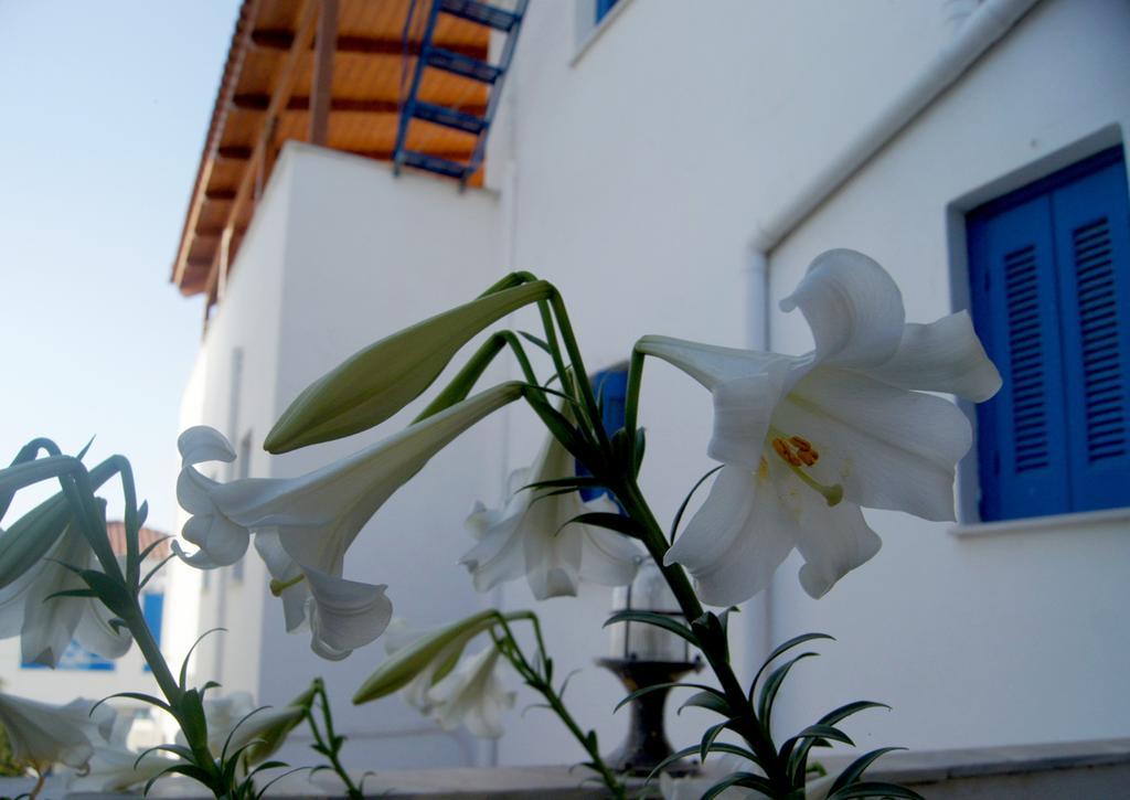 Apartamento Idroussa Batsíon Exterior foto